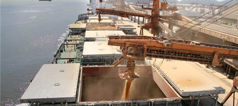 exportação de soja / soybean export