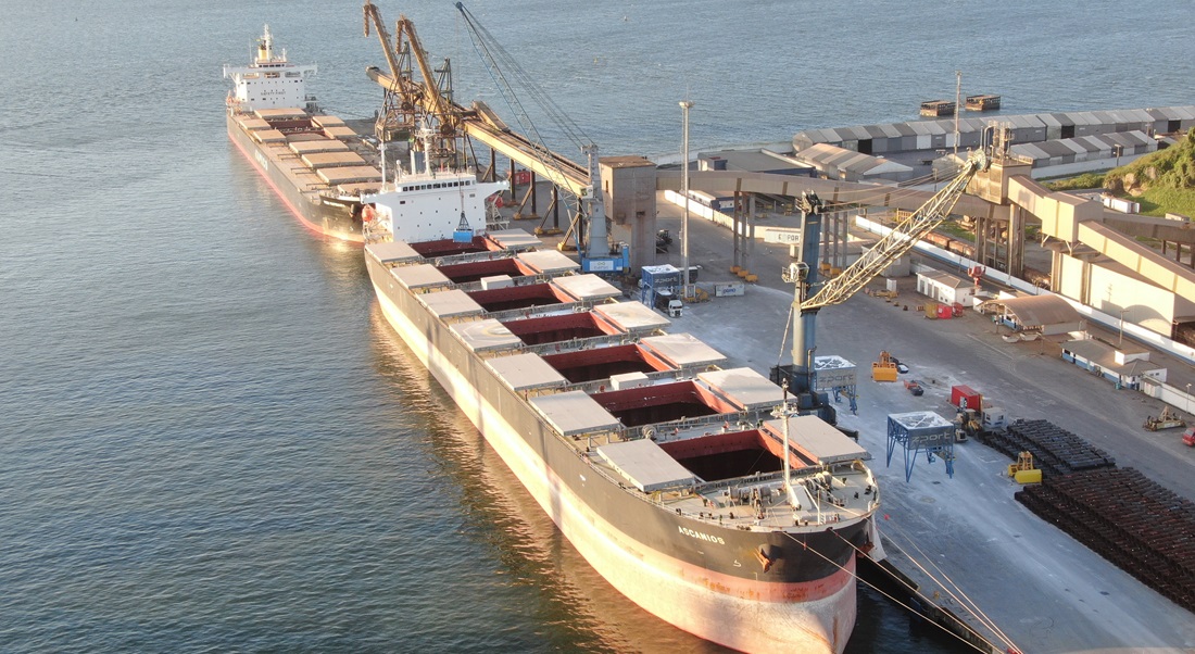  Grain exports to China drive growth at Port of Sao Francisco do Sul