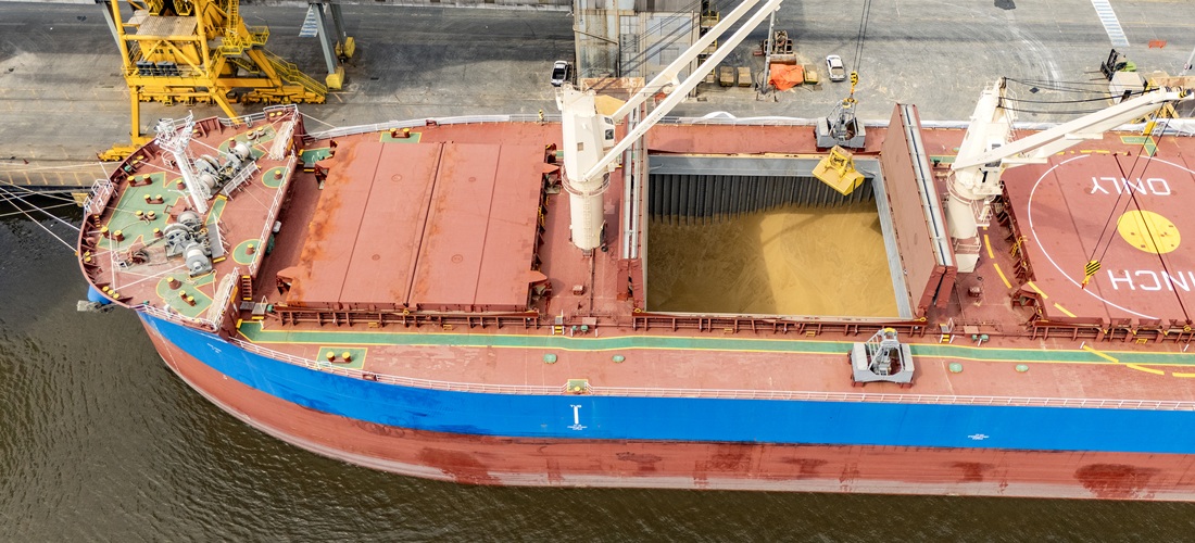 Vessel laden with barley in Paranaguá