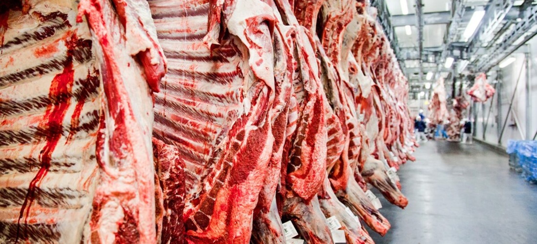  Brazil vows to reverse EU ban on Brazilian meat and animal products