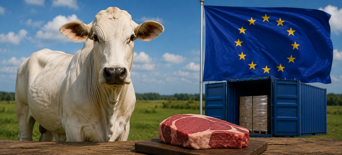 European Union keeps Brazil off the approved exporters list