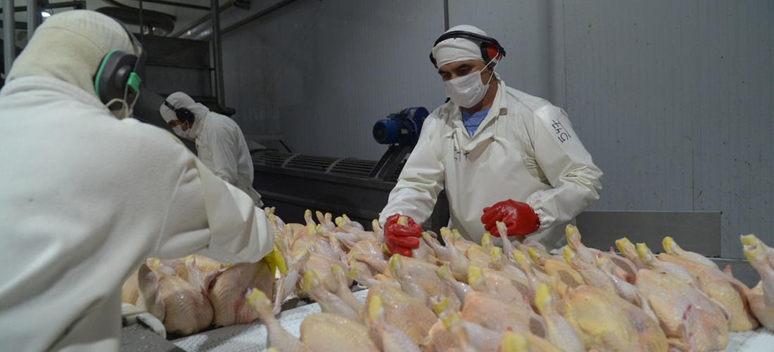  Argentina poultry exports to EU to resume after market reopening